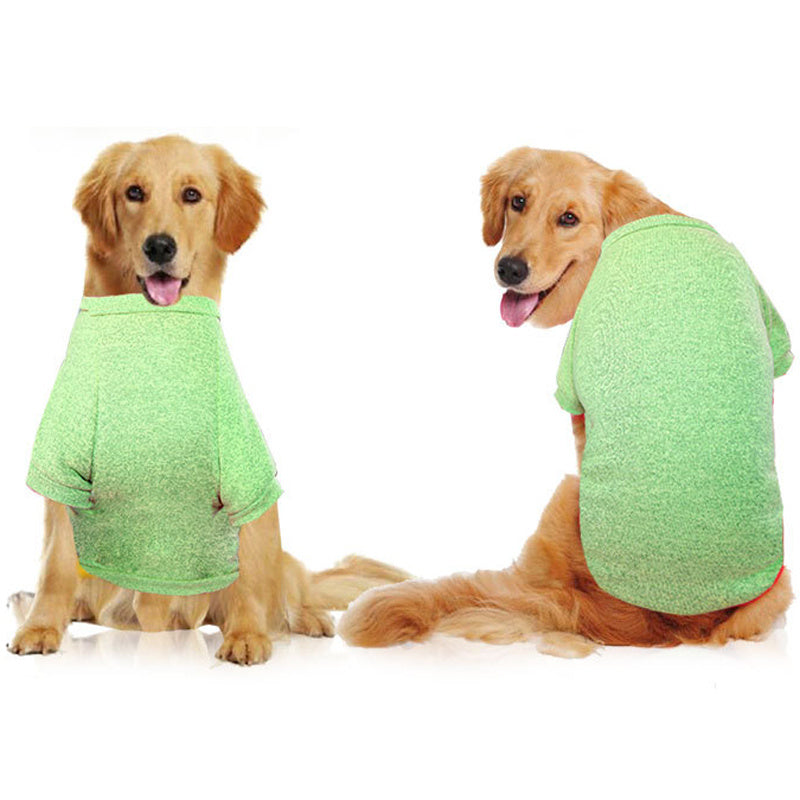 clothes for dog
