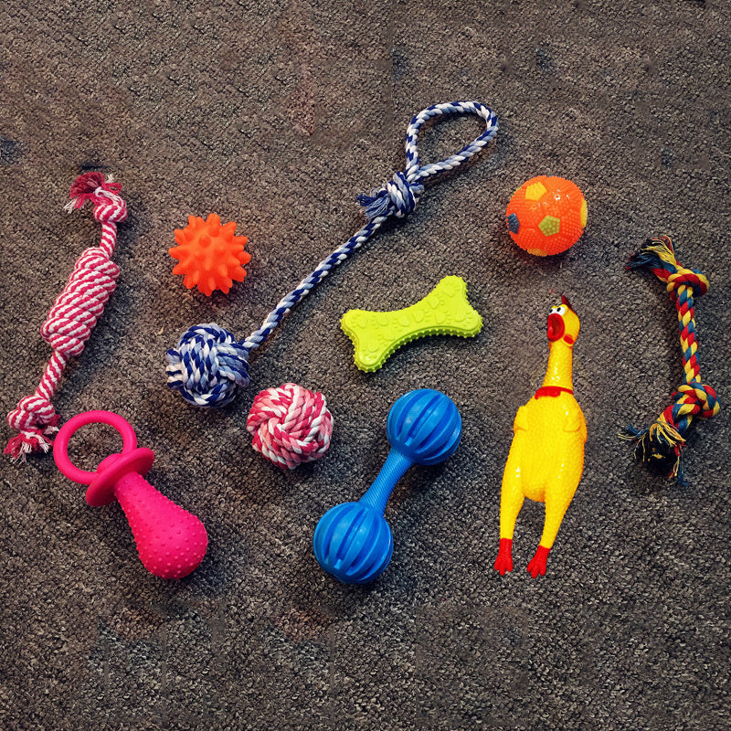 dog toy