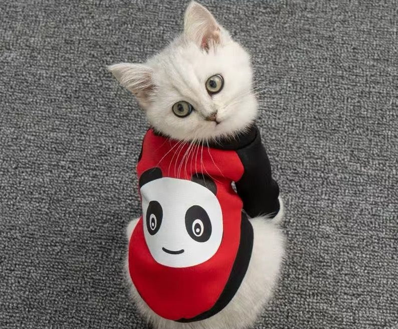 Dog clothes