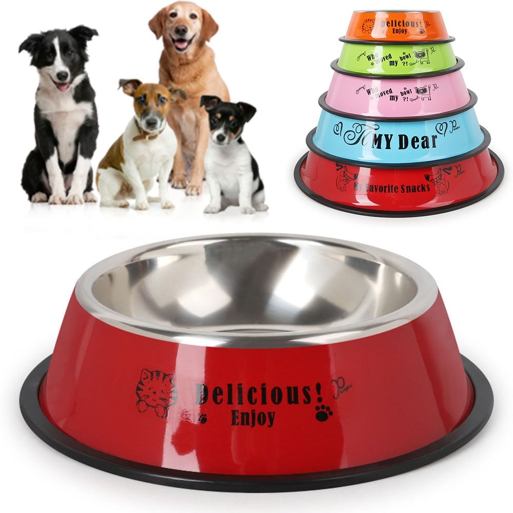 dog bowl