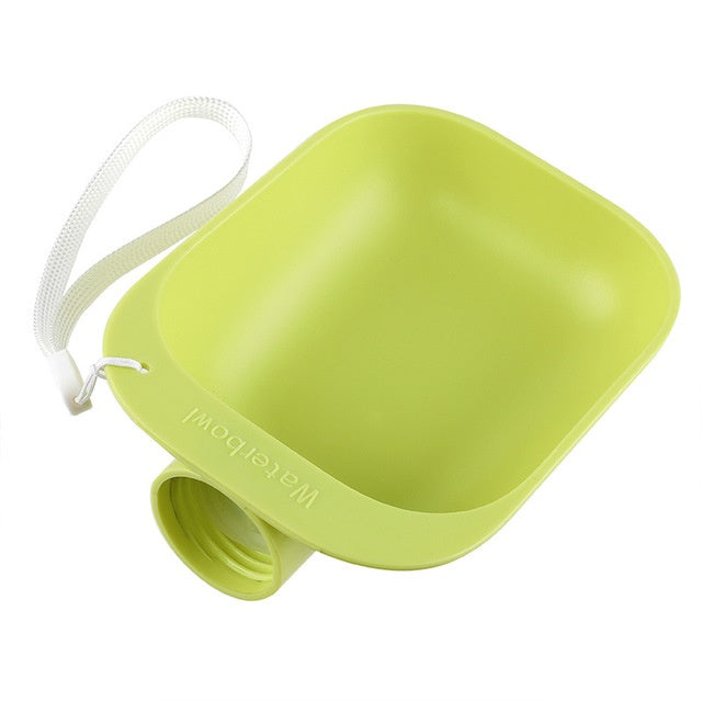 Drinking Bowl