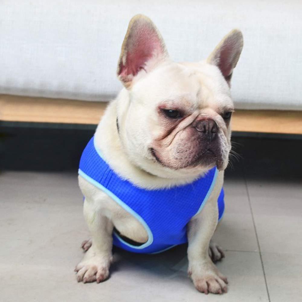 Dog vest