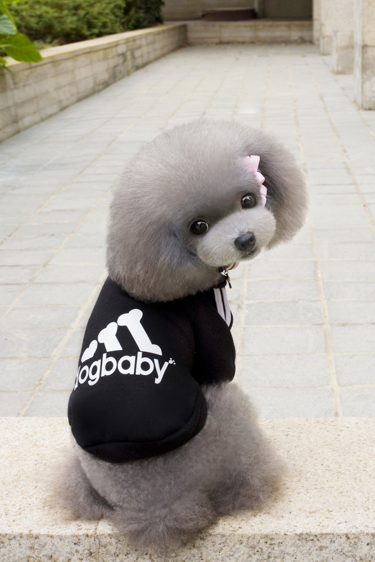 Fashion Dog Clothes For Small Dogs Puppy