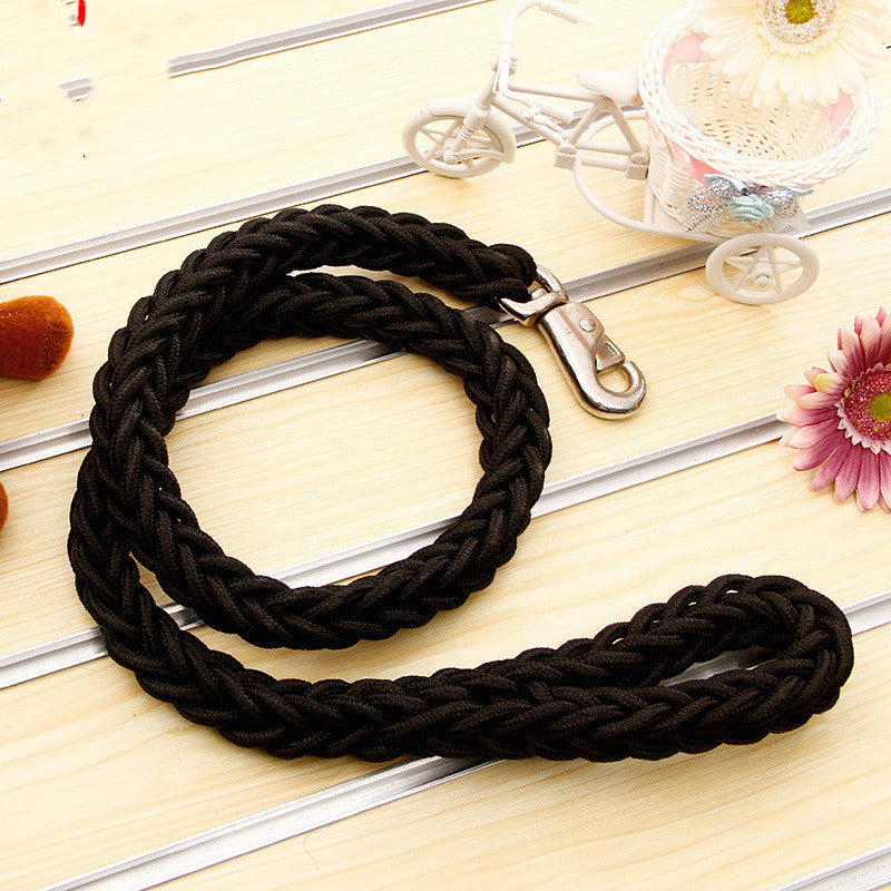 Pet leash with large dog rope