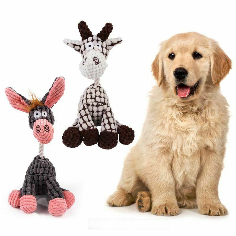 Dog Toy