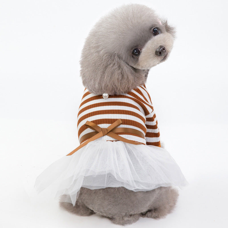 Dog Clothes