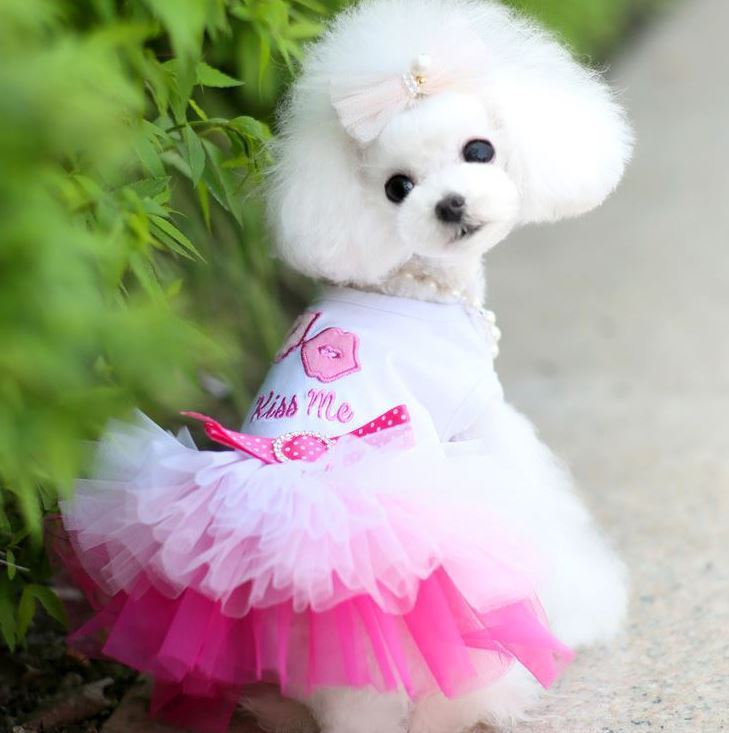 Dog Dress
