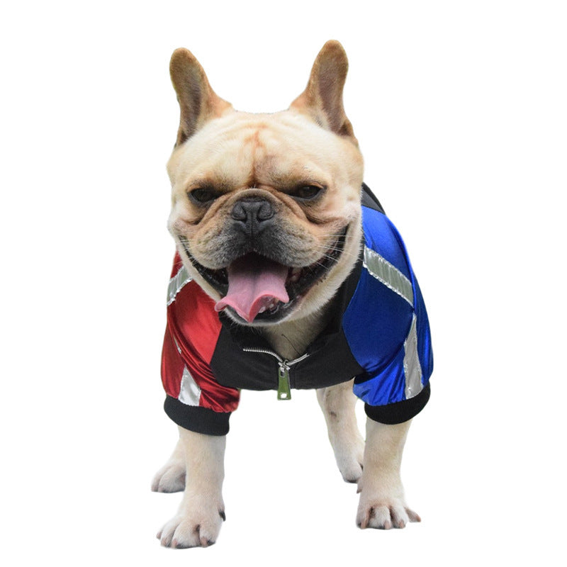Dog Clothes