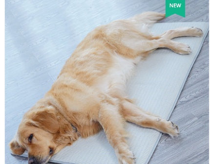 Sleeping Mat