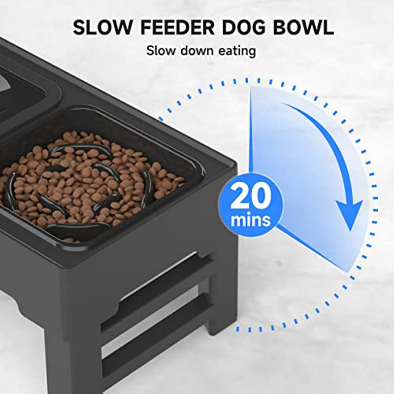 Dog Bowl For Small Medium Large Dogs