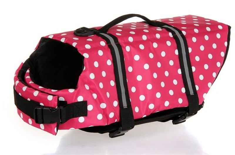 Dog swimwear life jacket