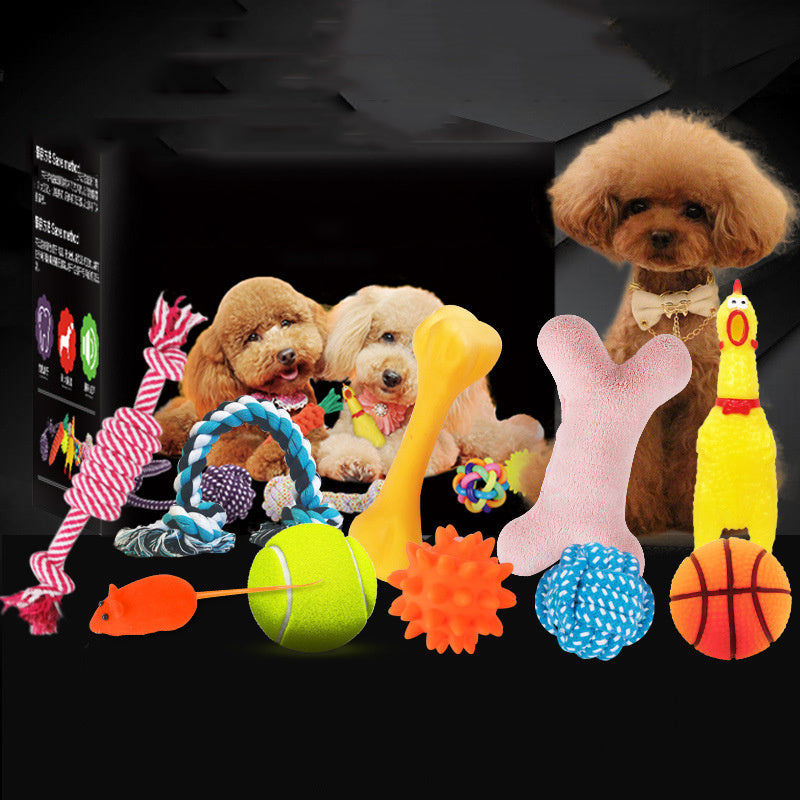 dog toy