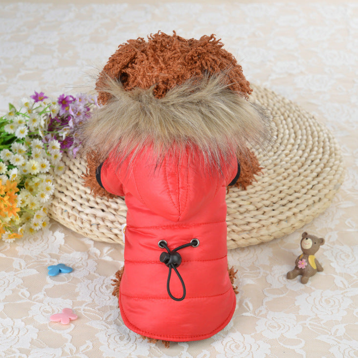 Dog down cotton clothing