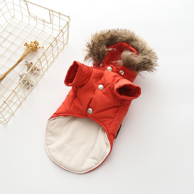 Dog Clothing