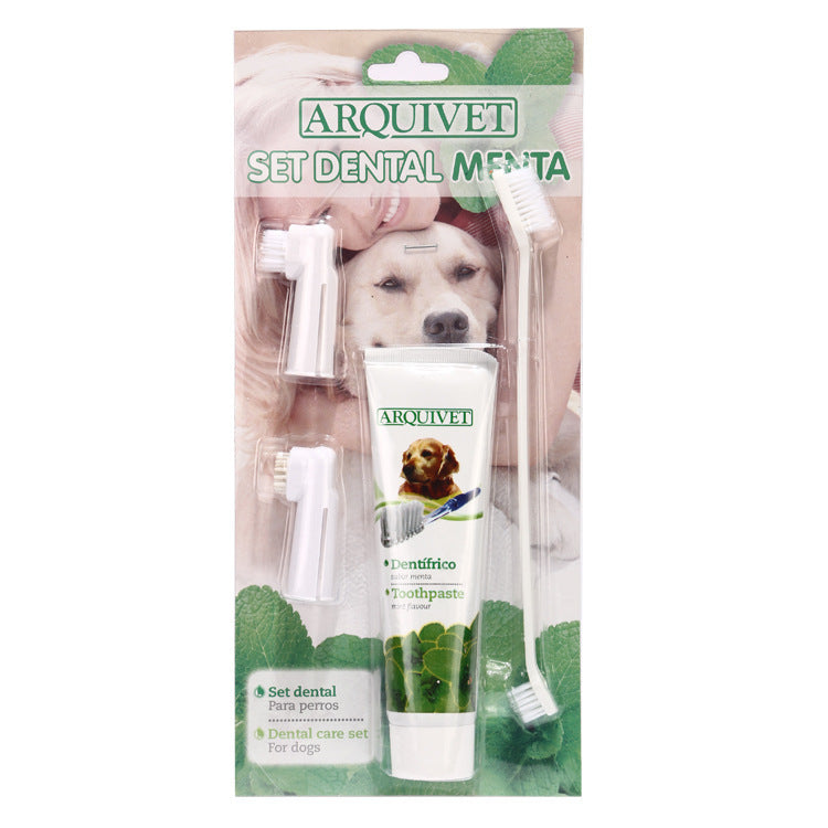 Pet toothpaste toothbrush set