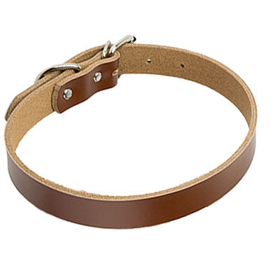 dog collar