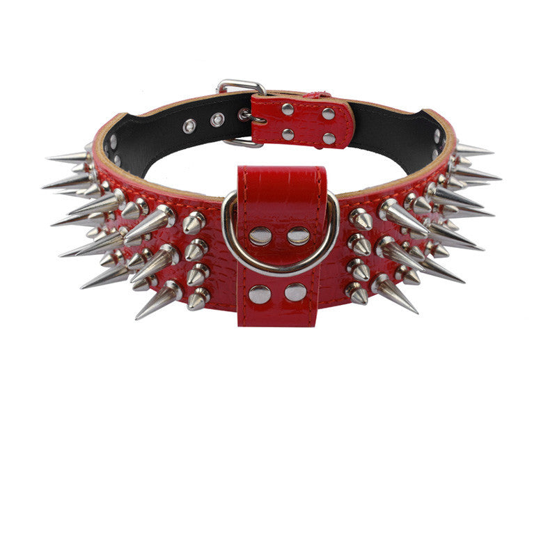 Dog Antibite Collar