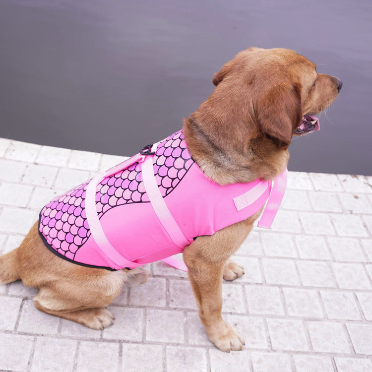dog life jacket