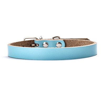 dog collar