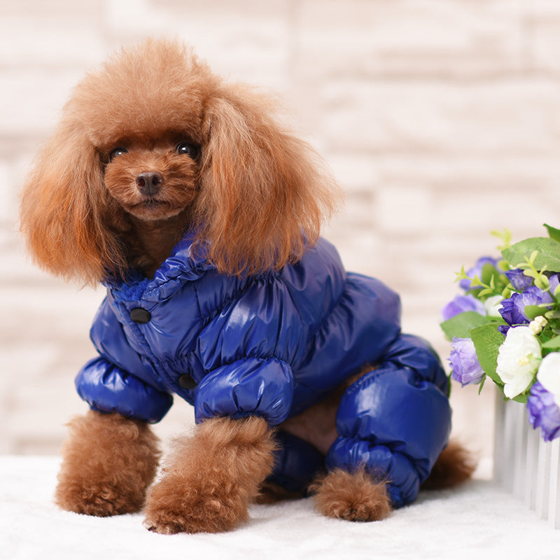 Dog Clothes
