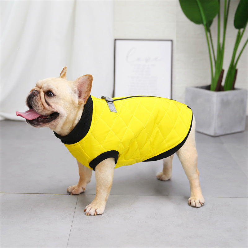 Dog Clothes
