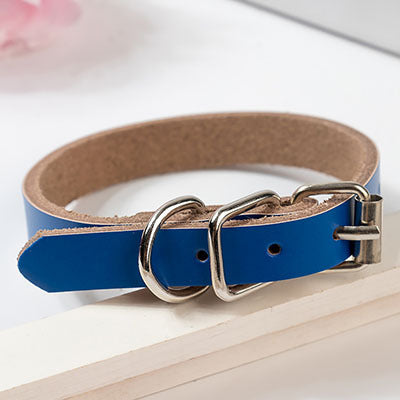 dog collar