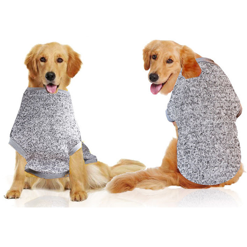 clothes for dog