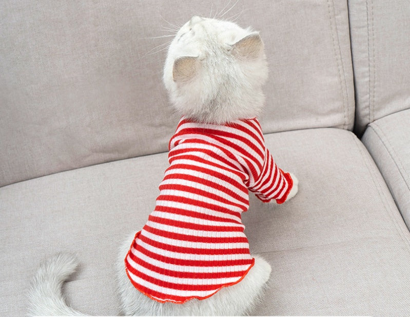 Dog clothes