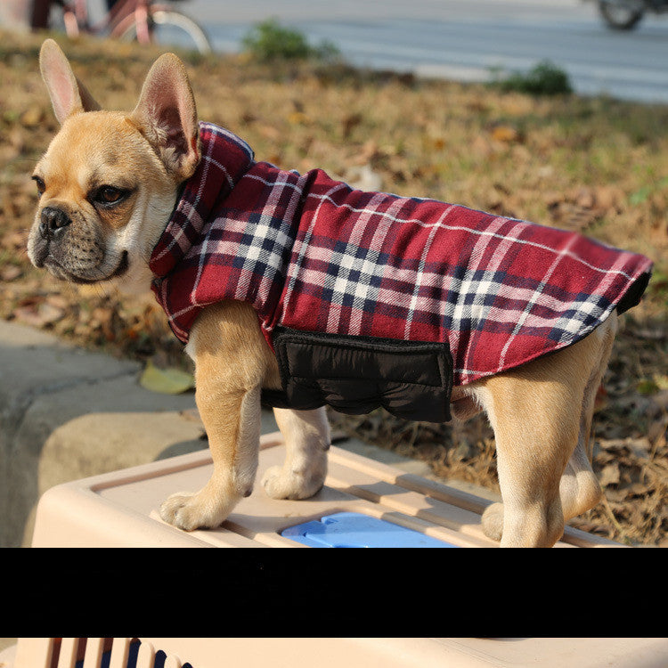 Dog Clothes