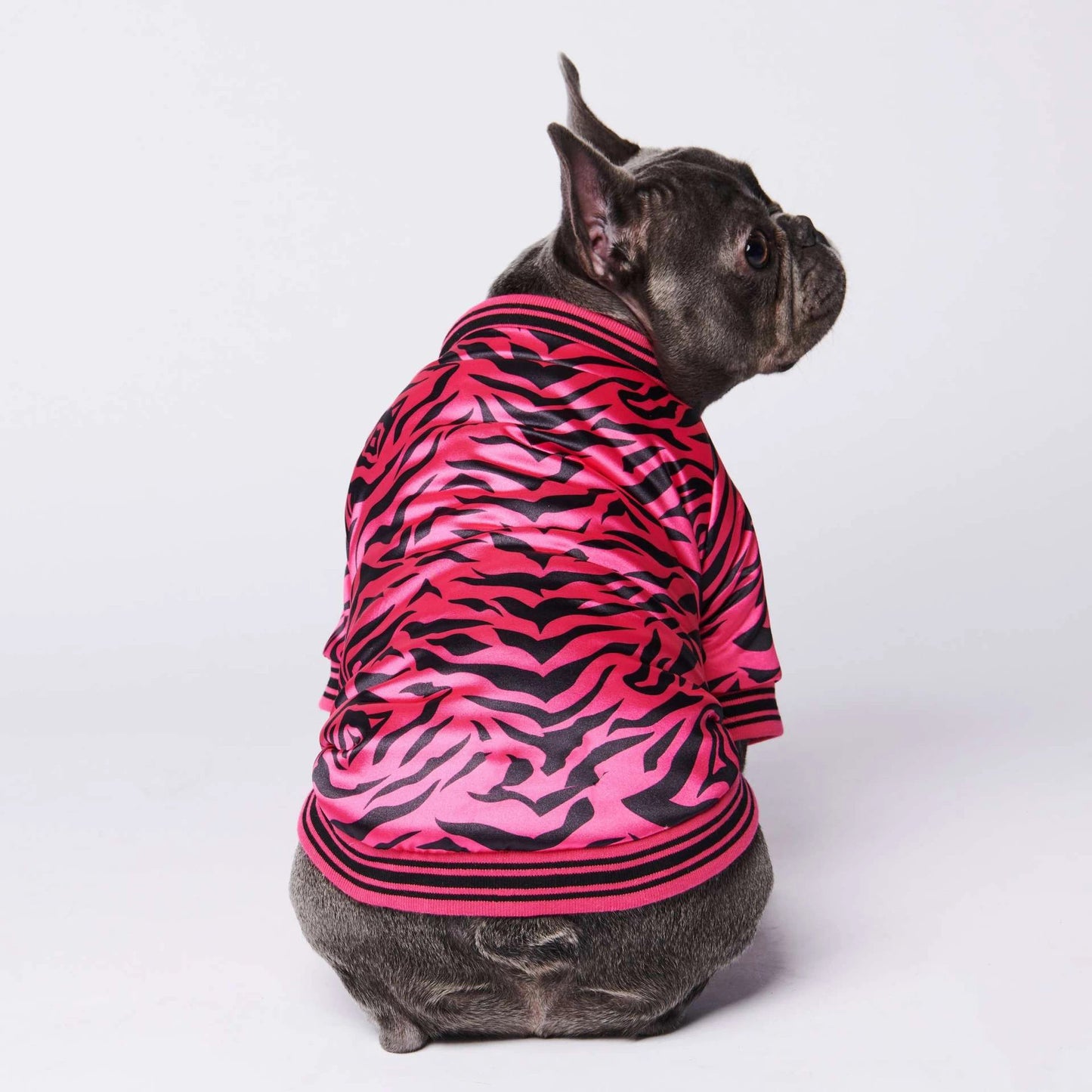 Dog jacket