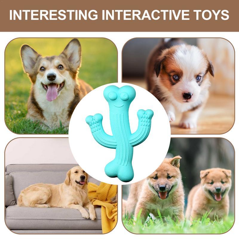 Dog Toy