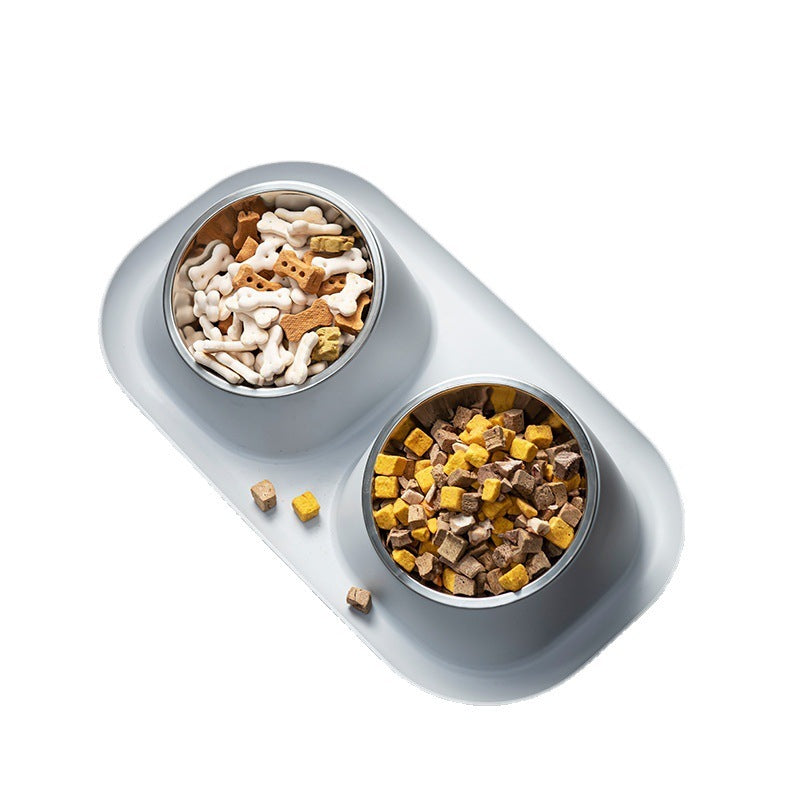 Dog Bowl