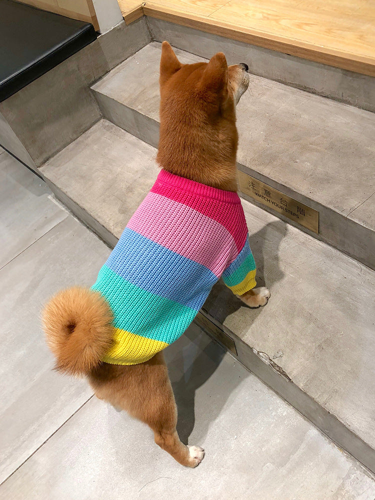 Dog Sweater