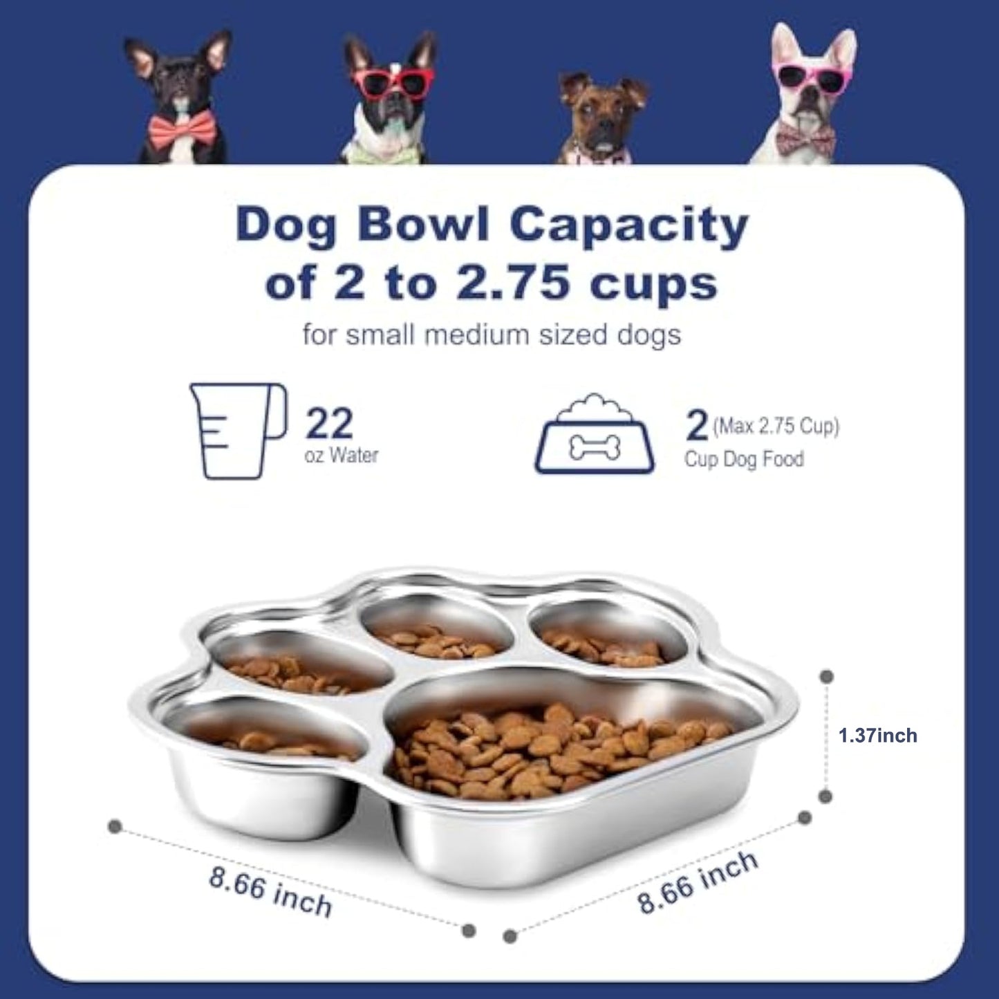 Dog Bowl