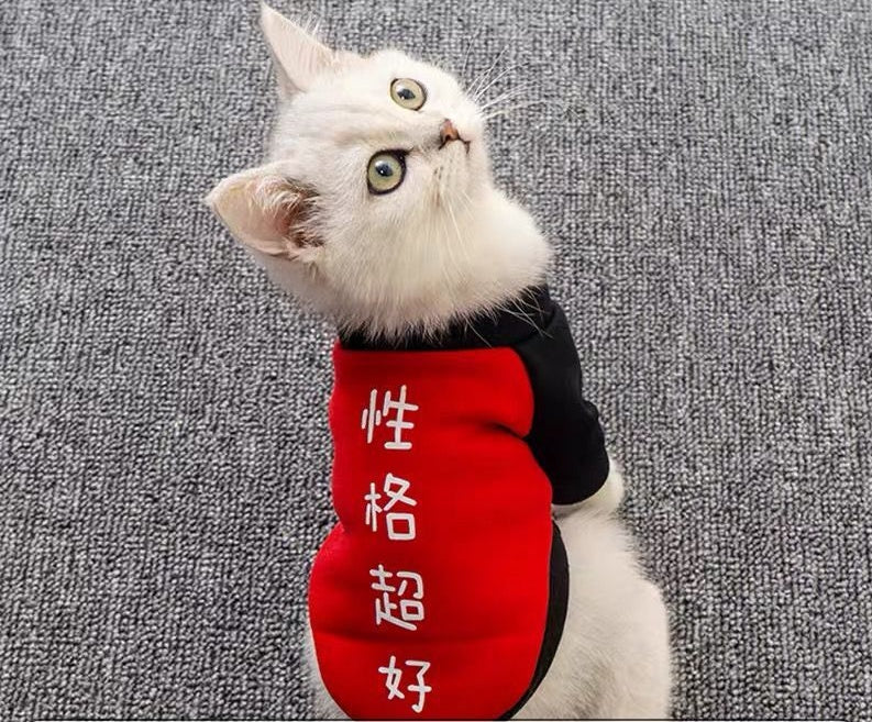 Dog clothes