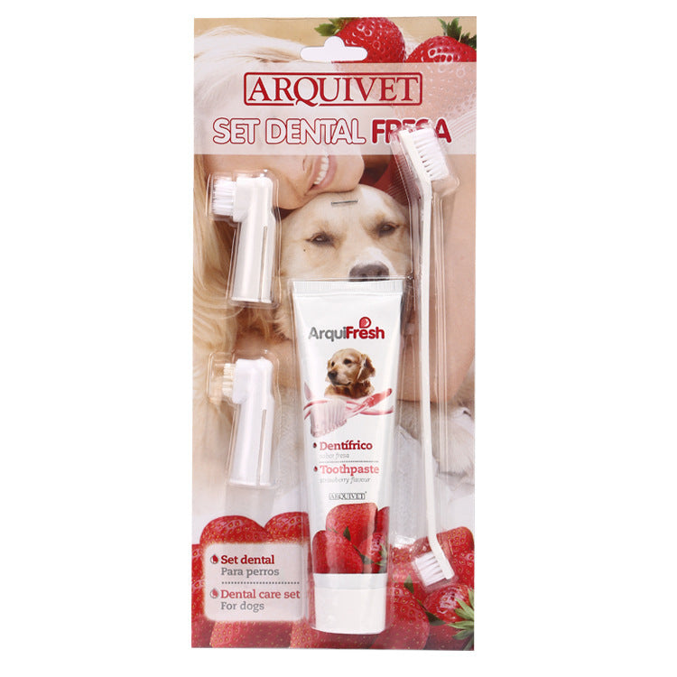 Pet toothpaste toothbrush set