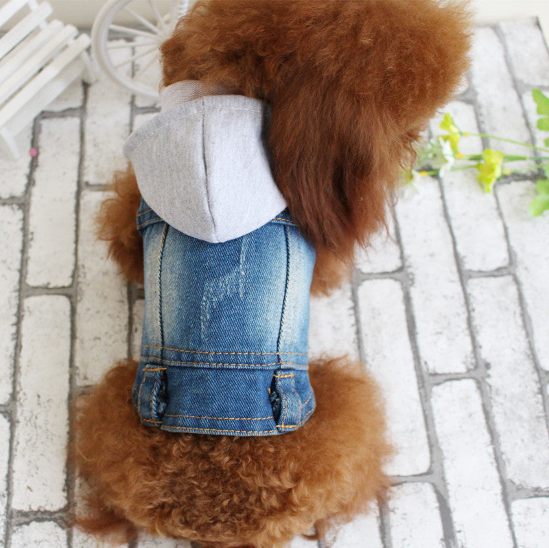 Dog Clothes