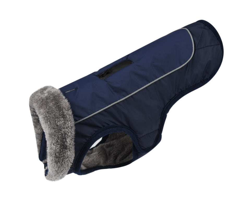 dog clothing