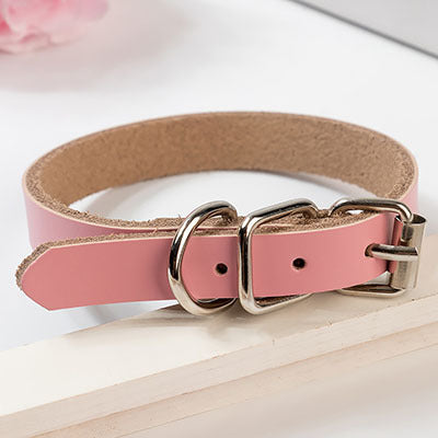 dog collar