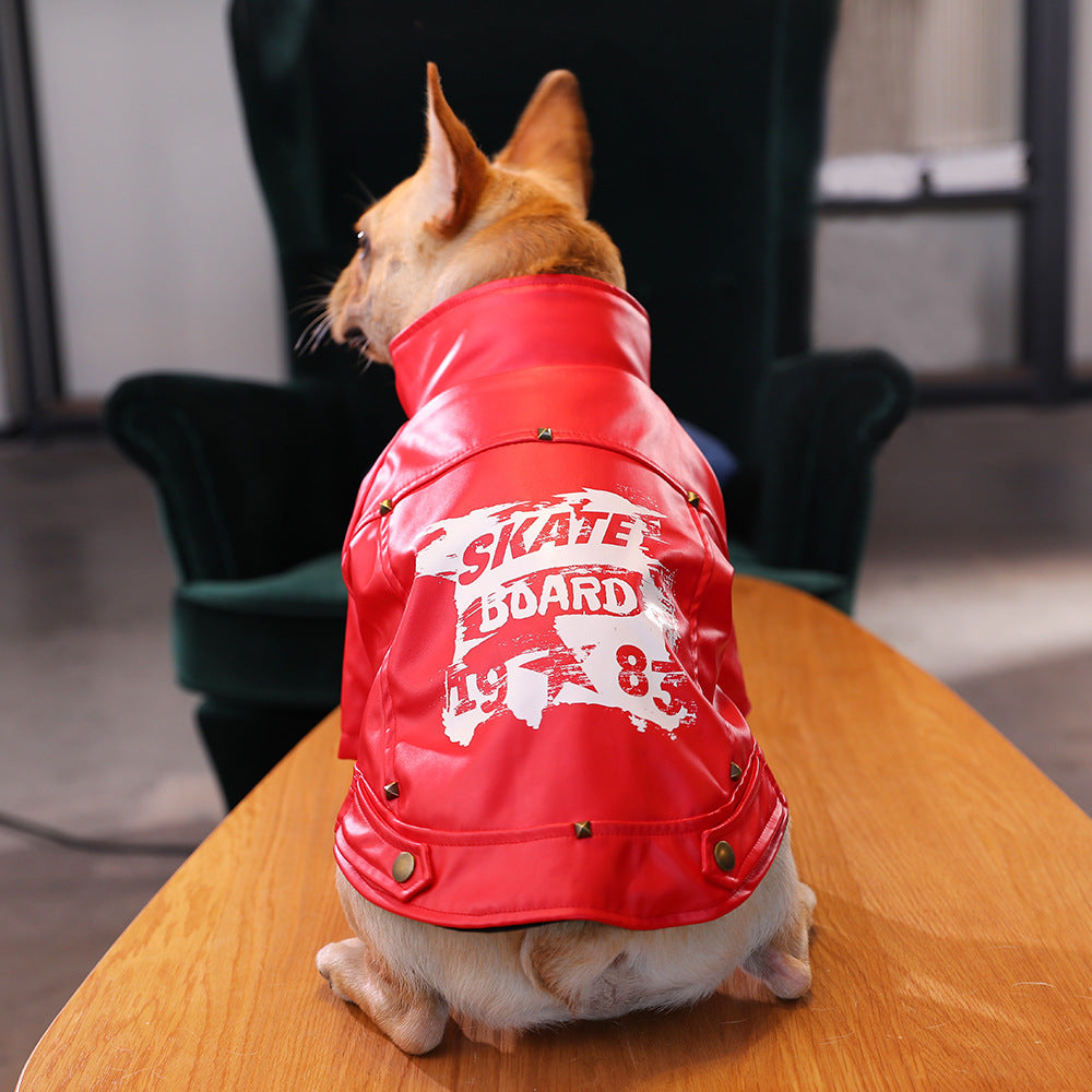 Dog clothes