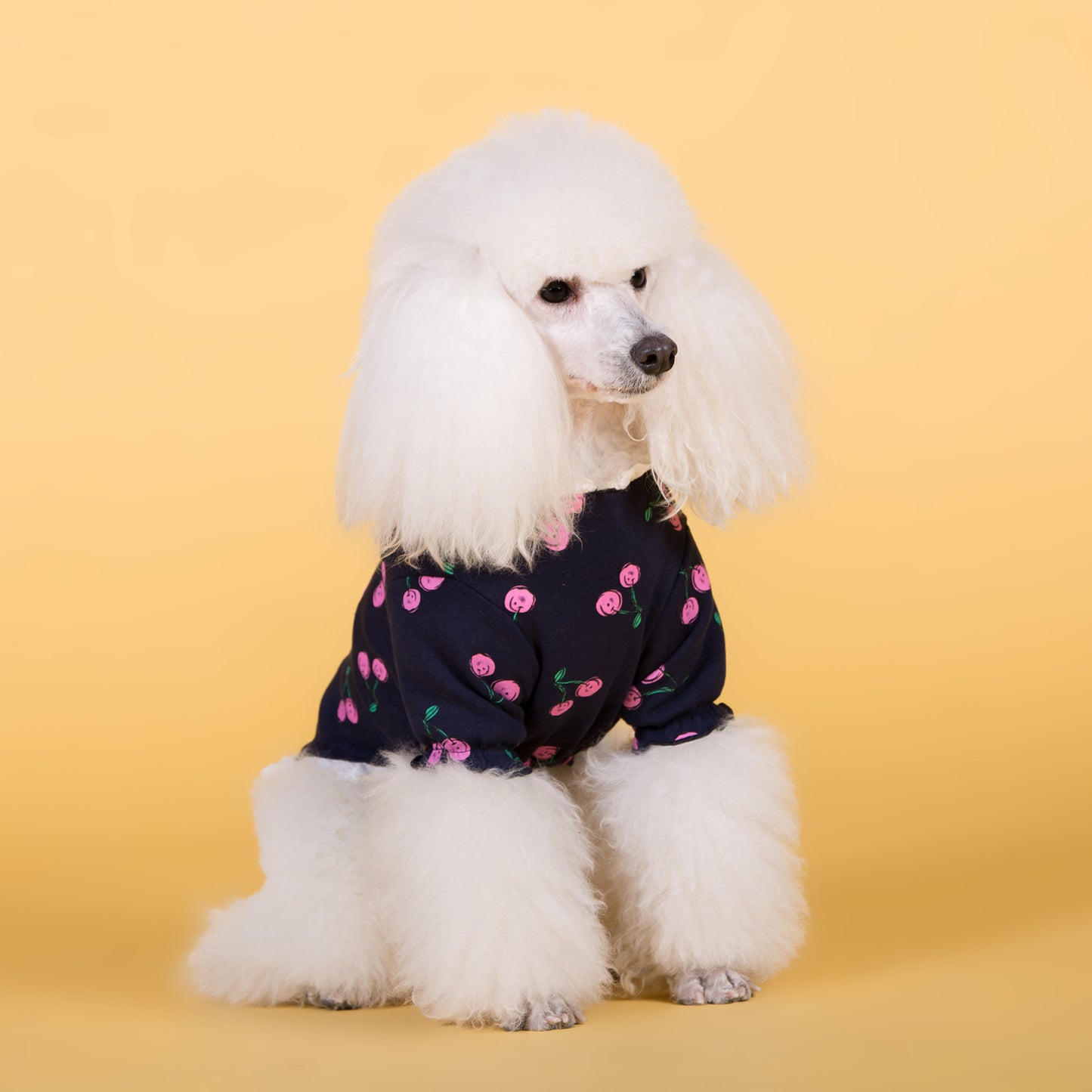 Dog clothes cotton stretch T-shirt