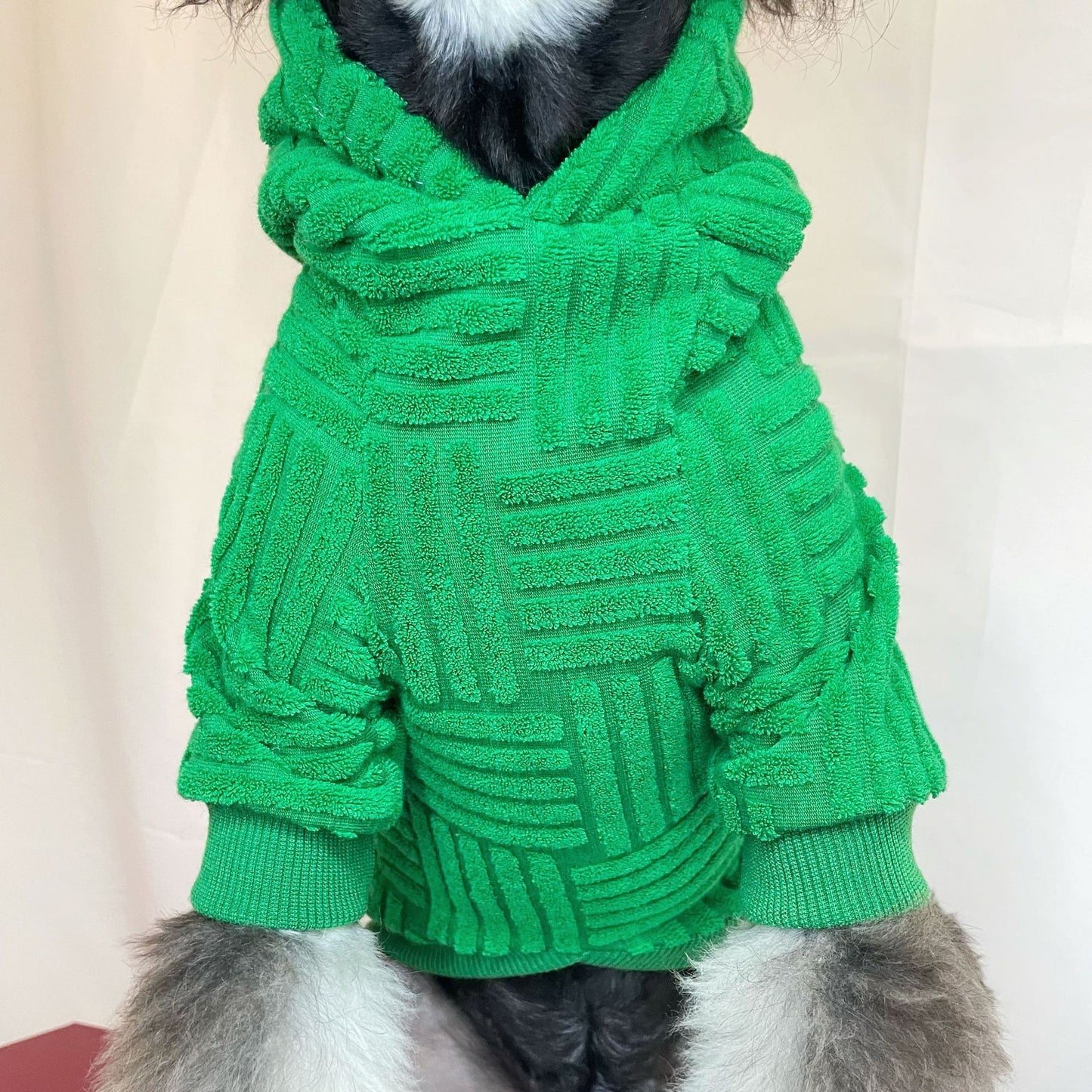 dog hoodie