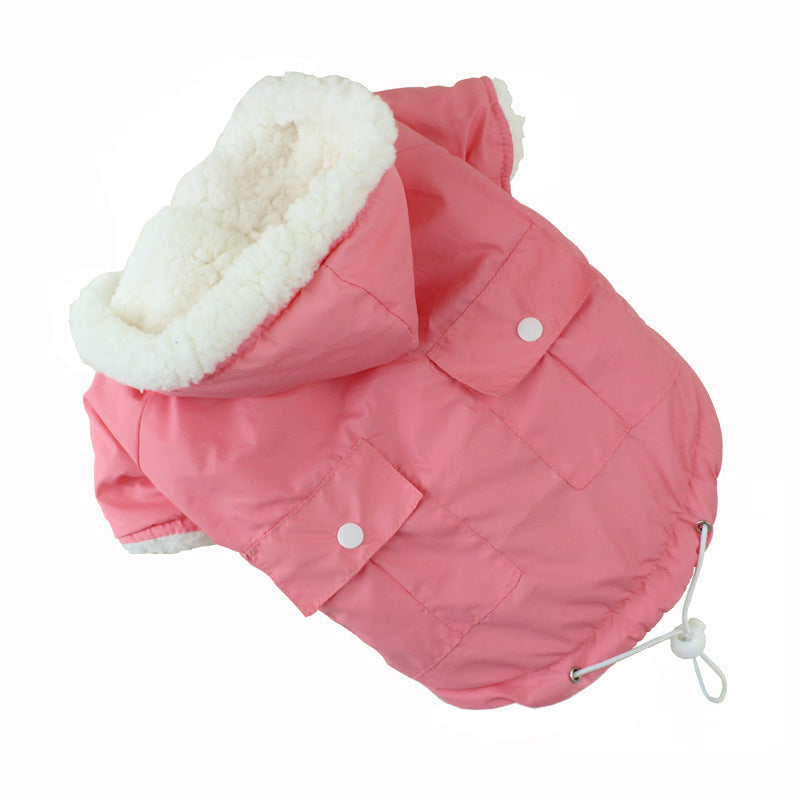 Dog clothes