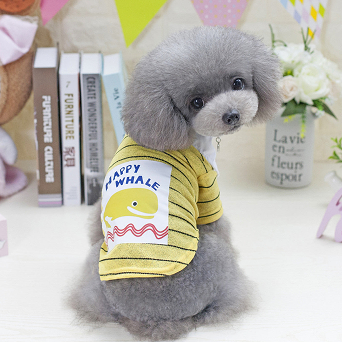 dog clothes