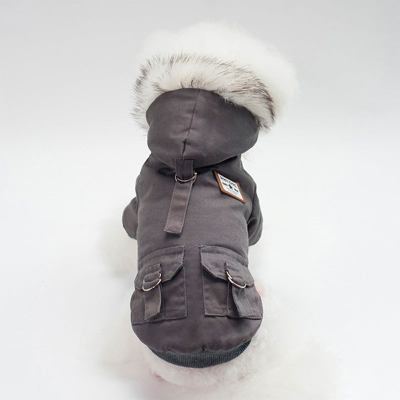 dog coat