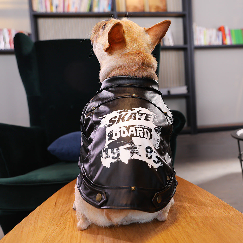 Dog clothes