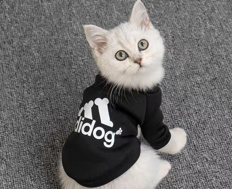 Dog clothes