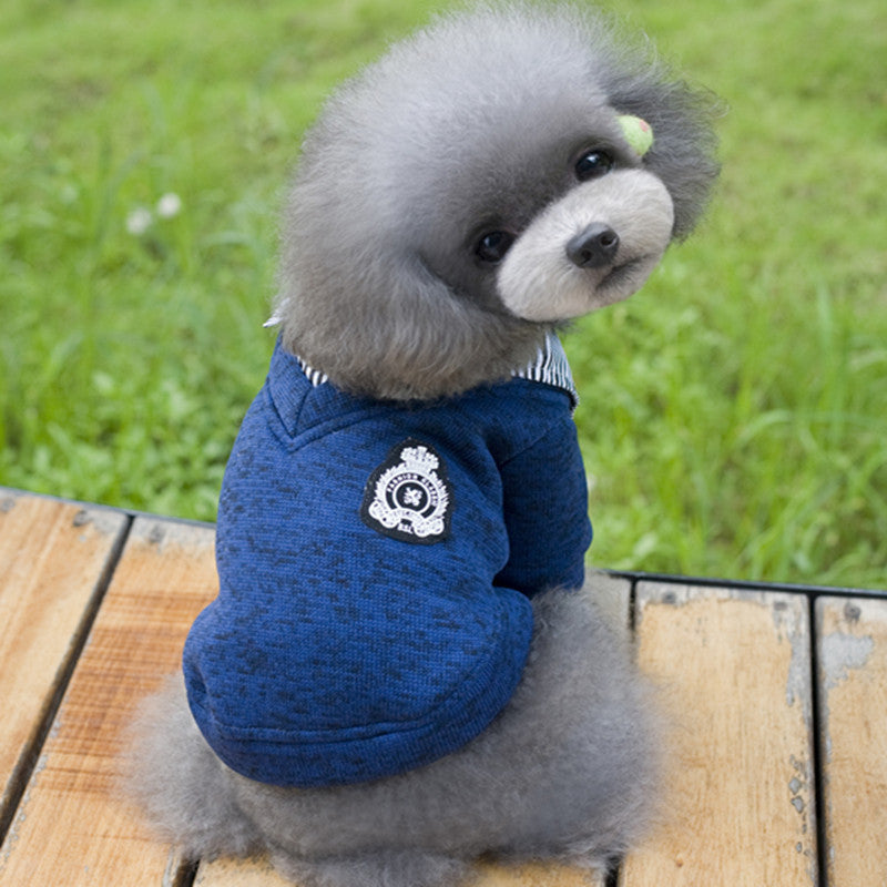 Dog hoodie
