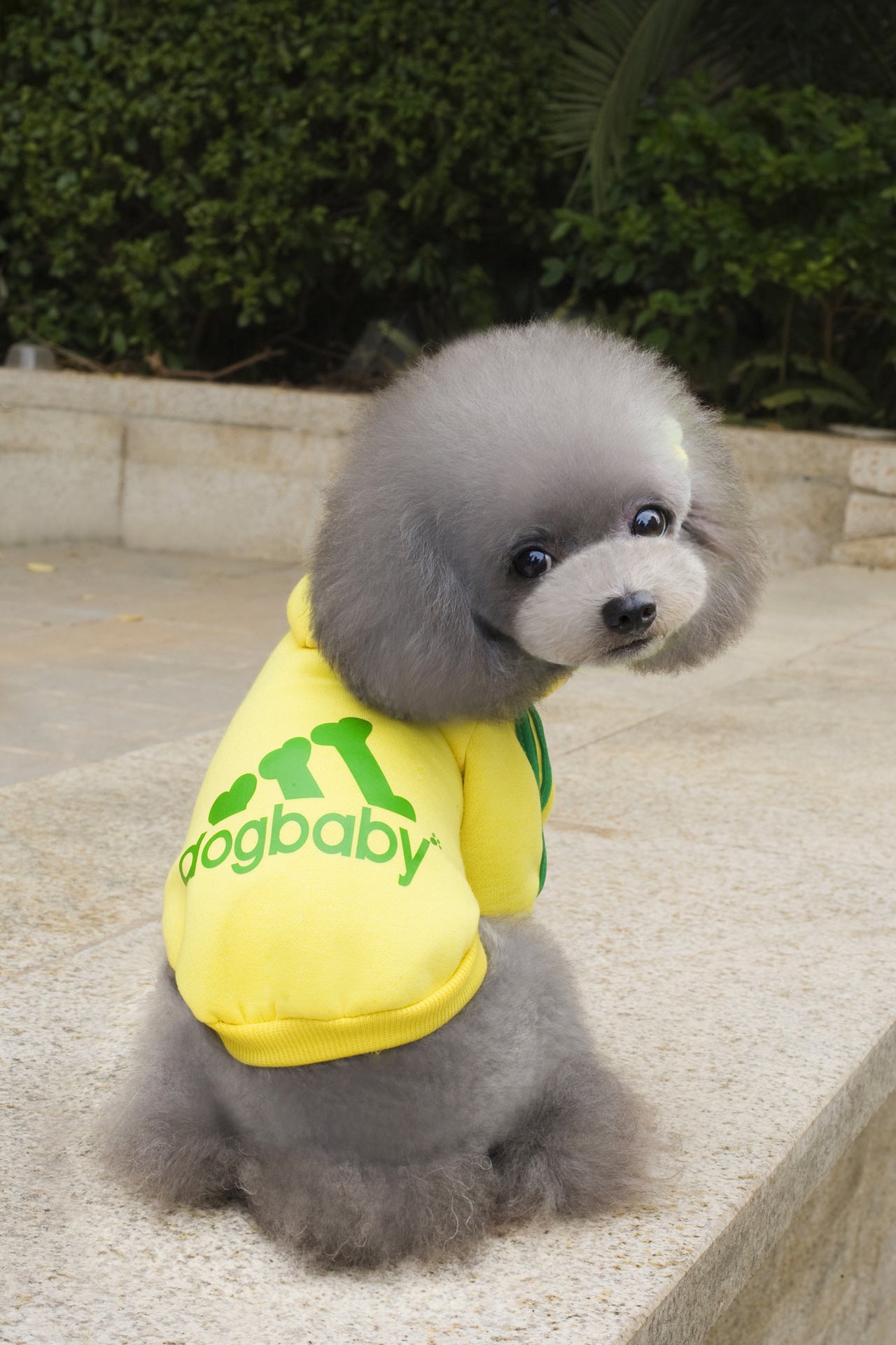 Fashion Dog Clothes For Small Dogs Puppy
