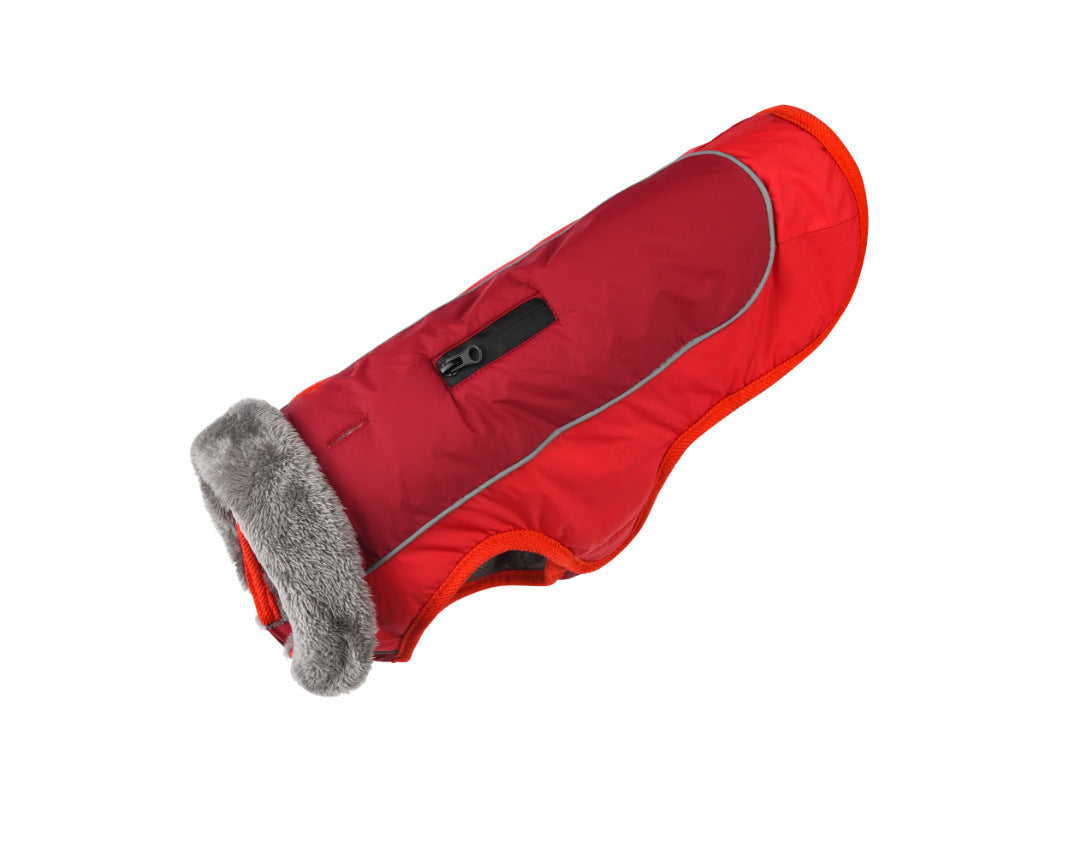 dog clothing